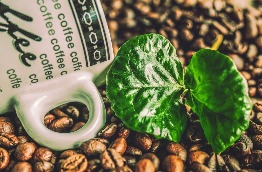 Top Things To Look For When Learning How To Buy Coffee Beans